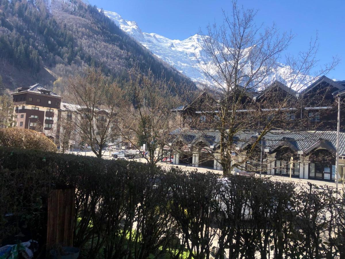 Chamonix 27 - Au Centre Vue Mont Blanc Et Jardin Apartment Ngoại thất bức ảnh